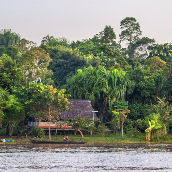 Pleme dobilo internet: Odmah se navukli na porno filmove VIDEO