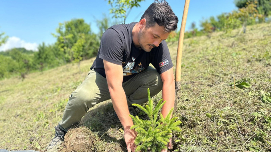Sam posadio šumu o kojoj svi pričaju: Evo kako ona izgleda FOTO