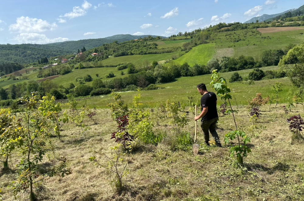 Sam posadio šumu o kojoj svi pričaju: Evo kako ona izgleda FOTO