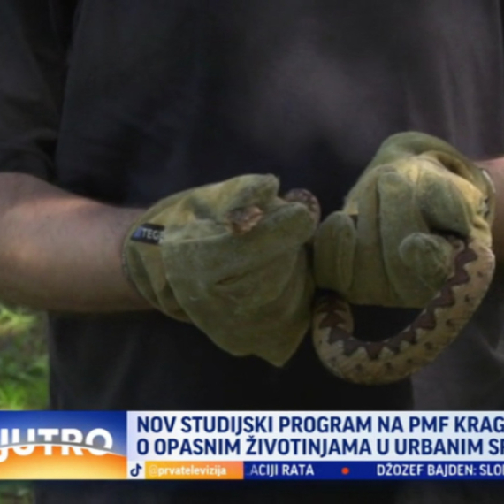 Centrom Kragujevca šetaju opasne životinje: Organizovana obuka za njihovo bezbedno hvatanje VIDEO