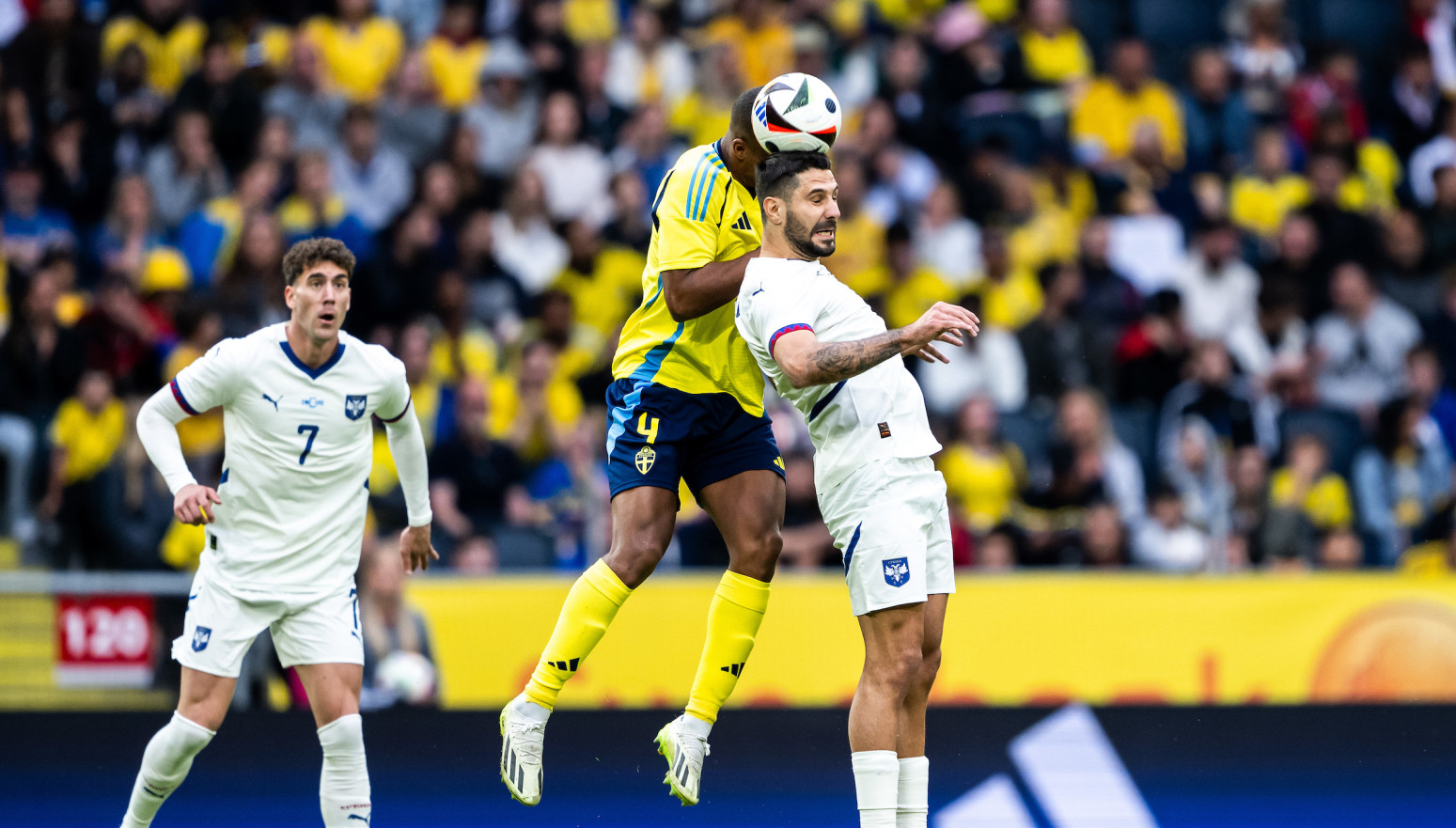 Mitrović: "Polako kreće euforija"