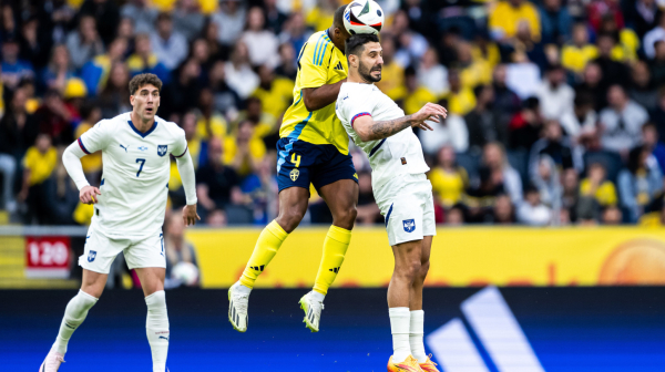 Mitrović: "Polako kreće euforija"