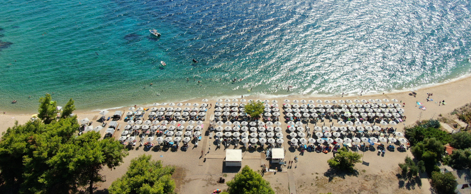 Pojavio se uznemirujući snimak: Opasna zver na plaži u Grčkoj VIDEO