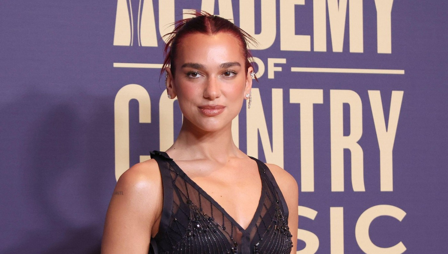 Pevačica albanskog porekla nastupila u Hrvatskoj, publika iznenađena zbog jezika na kom se obratila VIDEO