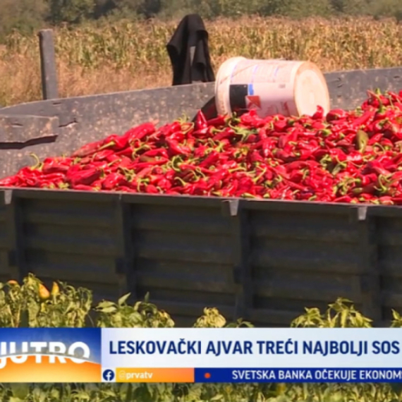 Leskovački ajvar treći najbolji sos na svetu VIDEO