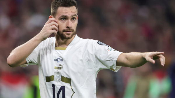 Veliko priznanje za Živkovića pred start EURO