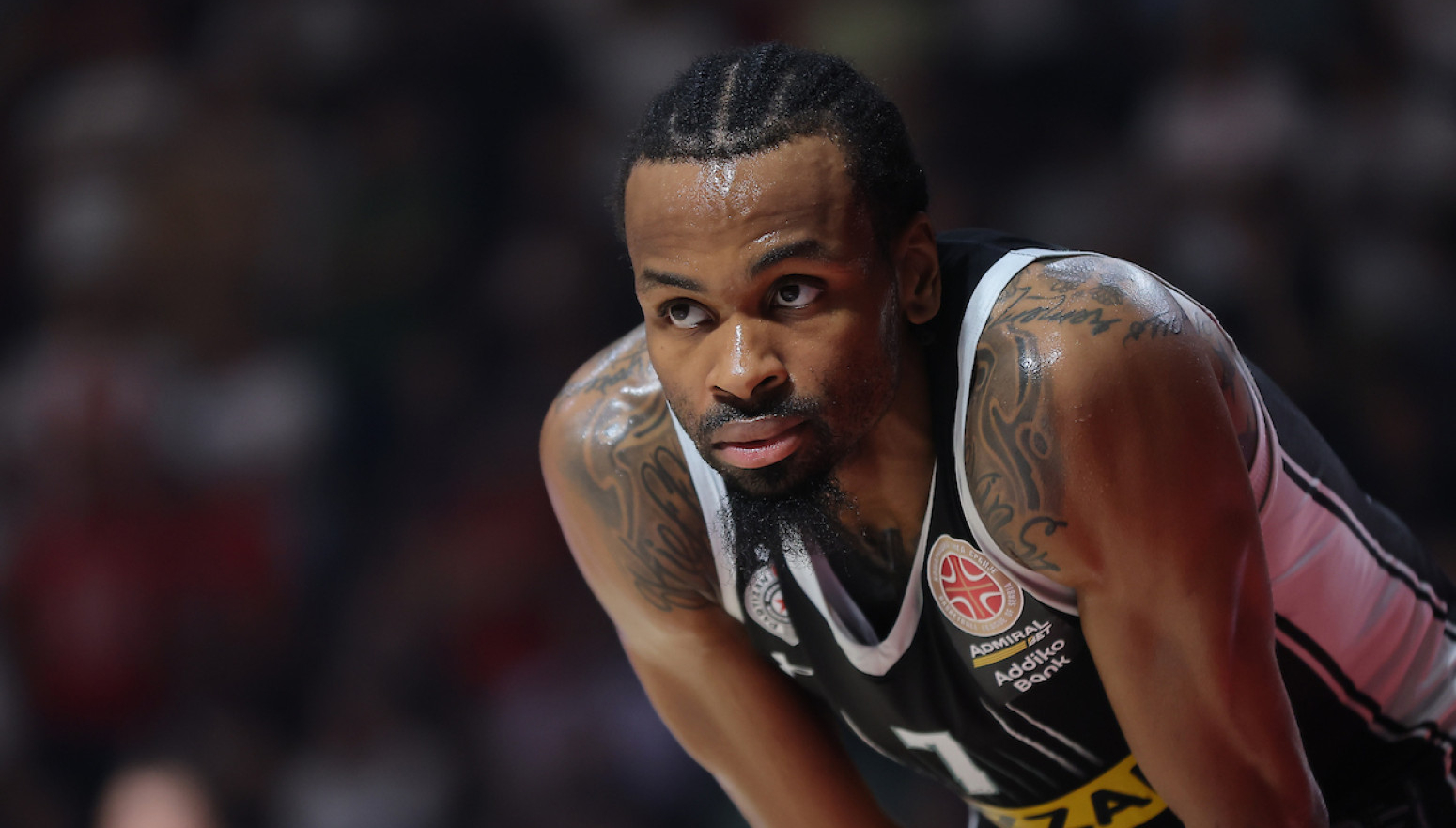 Panter blizu Barselone