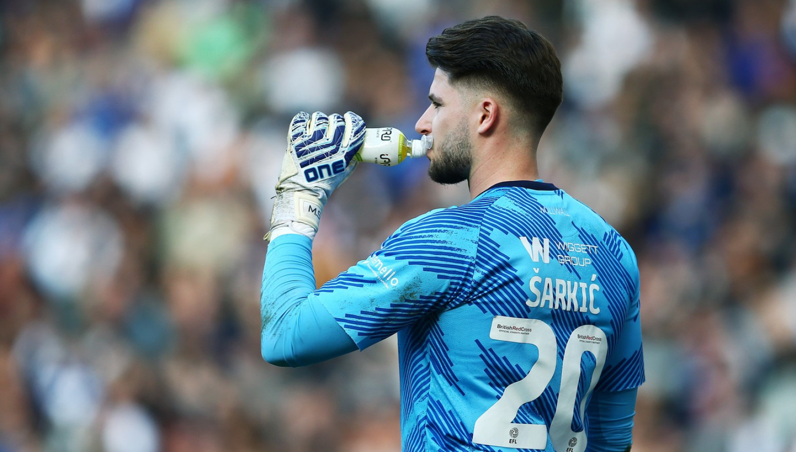 San koji se pretvorio u košmar – ko je bio Šarkić, Crnogorac rođen u Engleskoj