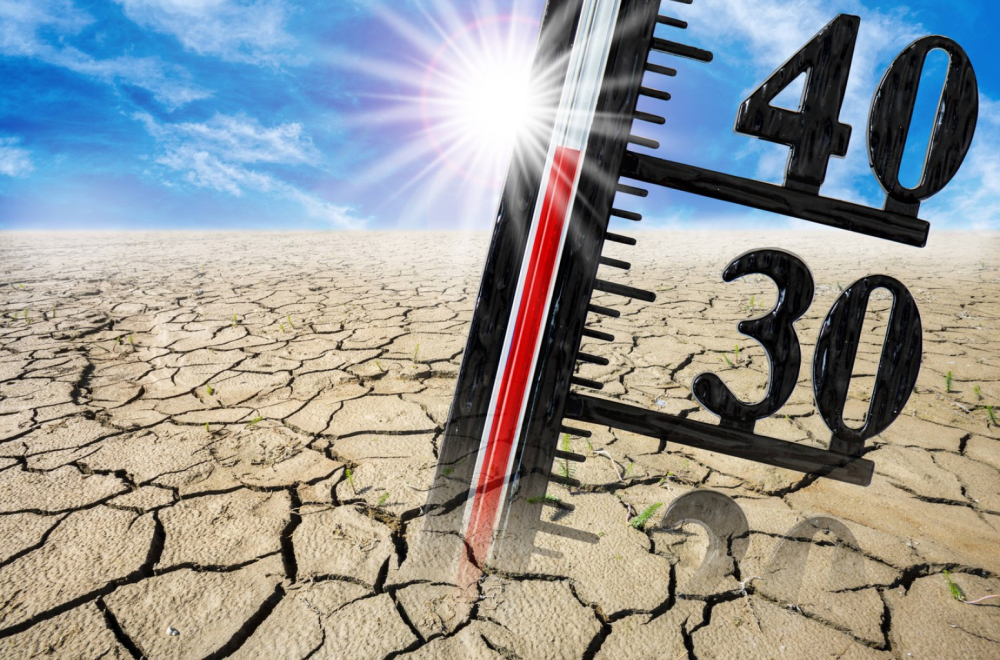 Gori Srbija; Upaljen alarm zbog opasne pojave