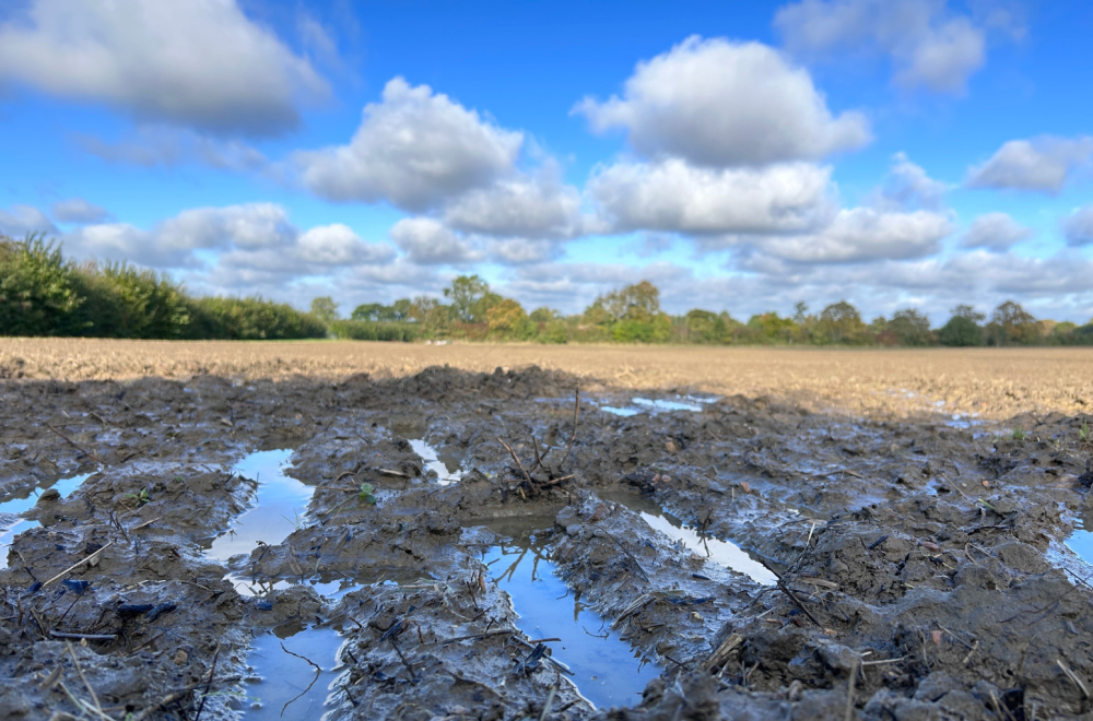 U planu gradnja energane za pretvaranje mulja i blata u energiju