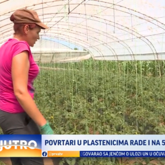 Oni su heroji Leskovca: Rade i na 50 stepeni VIDEO