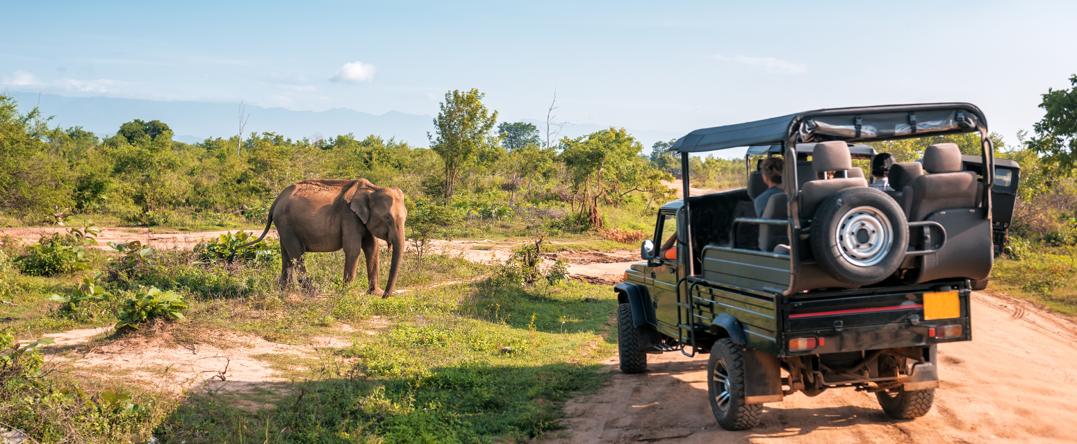 Dve turistkinje poginule u Zambiji u napadu slonice
