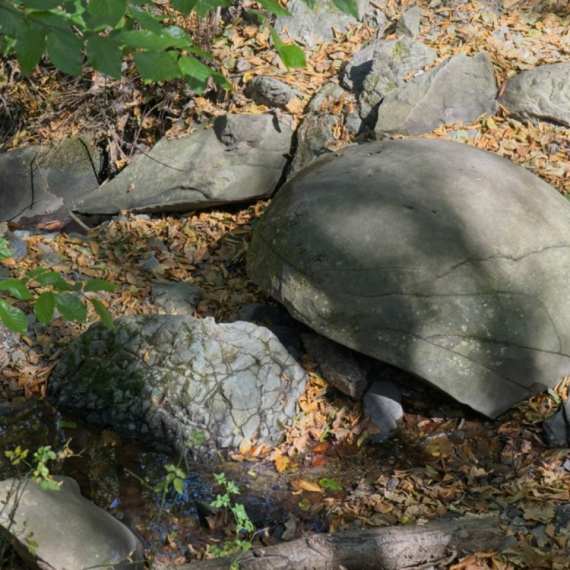 Najveće nalazište u Evropi, ali i najmisterioznije: Ove kamene kugle privlače pažnju celog sveta FOTO