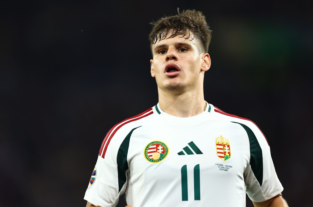 Srbin poslao jasnu poruku: "Mi smo Mađarska" VIDEO