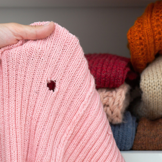 Ako vam se moljci stalno pojavljuju u domu, evo šta da uradite