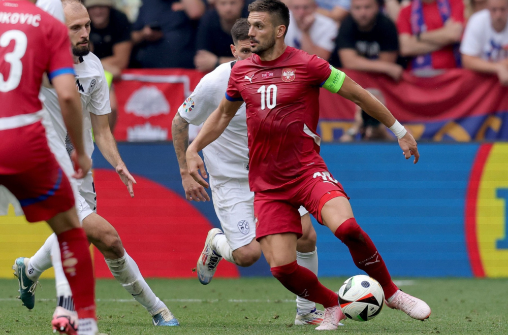 Mačka predvidela rezultat utakmice između Srbije i Danske VIDEO