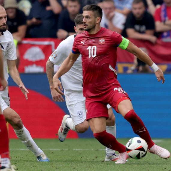 Mačka predvidela rezultat utakmice između Srbije i Danske VIDEO