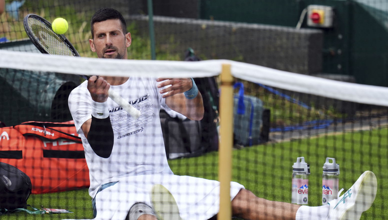 Đoković podelio snimak o insektu i pužu VIDEO