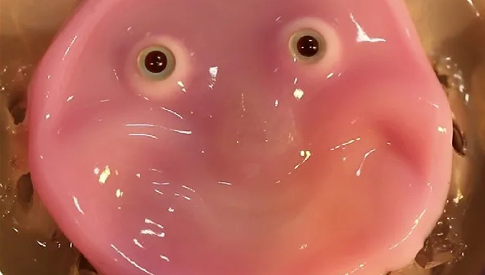 Smeje se: Kreirana ljudska koža za robote VIDEO