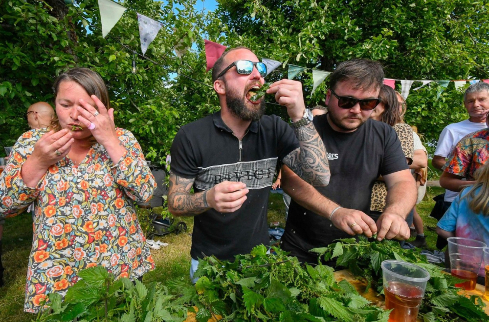 Na Svetskom prvenstvu u jedenju koprive, pobednik pojeo čak 25 metara biljke VIDEO