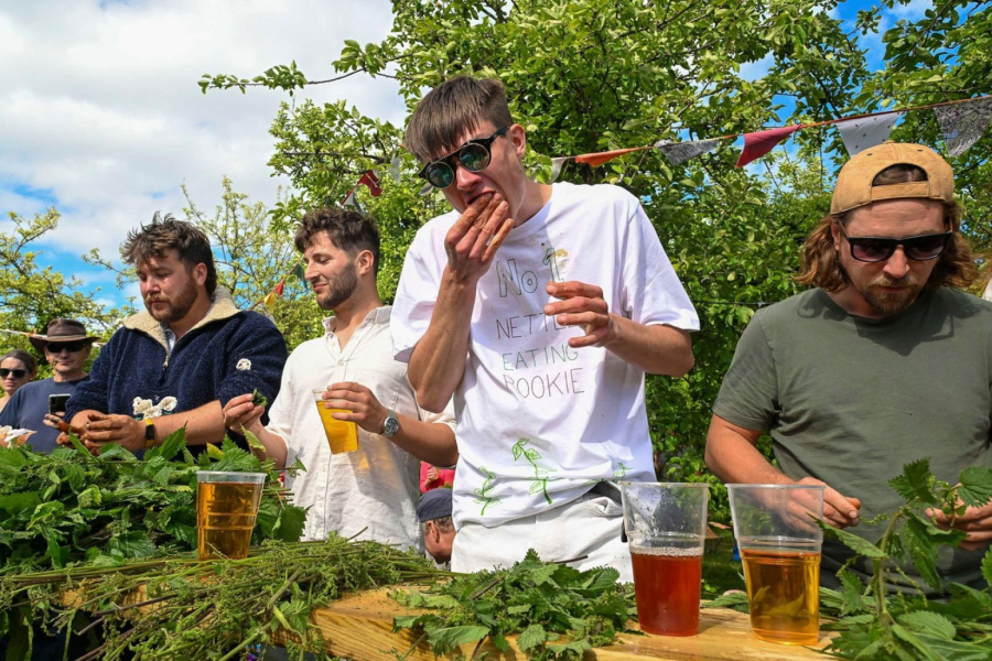 Na Svetskom prvenstvu u jedenju koprive, pobednik pojeo čak 25 metara biljke VIDEO