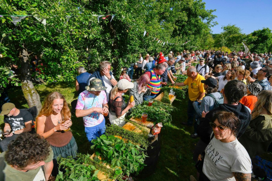 Na Svetskom prvenstvu u jedenju koprive, pobednik pojeo čak 25 metara biljke VIDEO
