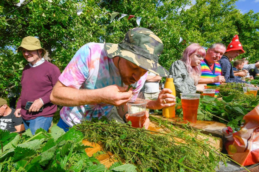 Na Svetskom prvenstvu u jedenju koprive, pobednik pojeo čak 25 metara biljke VIDEO