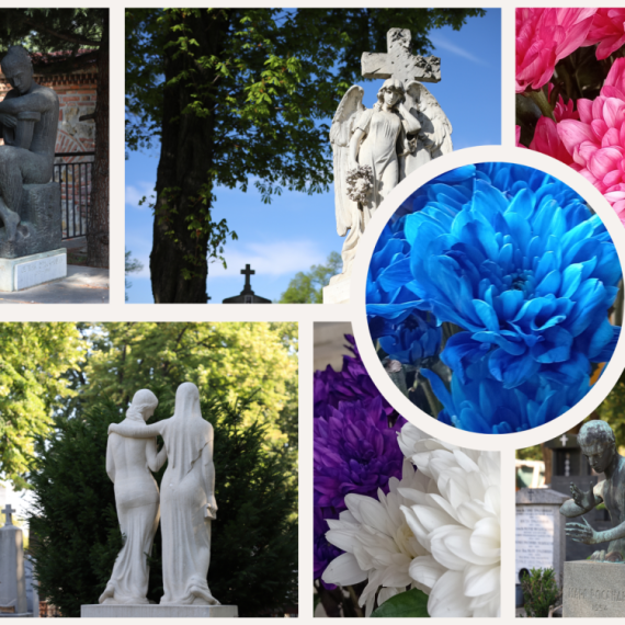 Govor cveća: Margareta – simbol čistoće i nevinosti, ponovnog rođenja i večnog života