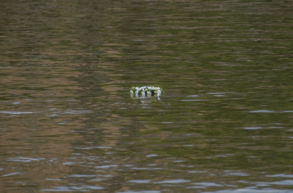 Užas kod Kladova: Dečak se udavio u Dunavu