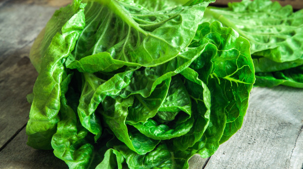 Mislite da je zdrava? Zelena salata može da naškodi ako bolujete od ovih bolesti