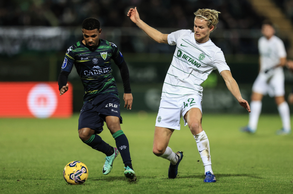 Brazilac stigao u Vojvodinu