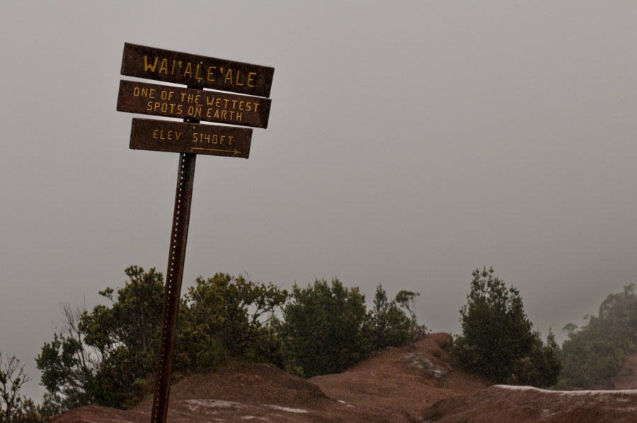 Ovde kiša pada 350 od 365 dana u godini: Mesto na rajskom ostrvu koje turisti često posećuju FOTO
