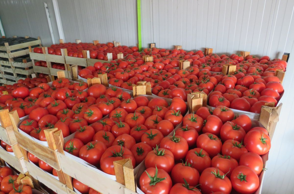 Objavljeni rezultati: Evo da li su ispravne namirnice na kragujevačkim pijacama