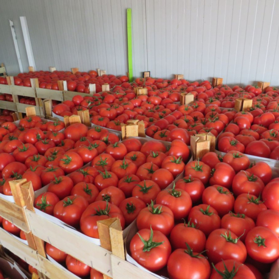 Objavljeni rezultati: Evo da li su ispravne namirnice na kragujevačkim pijacama