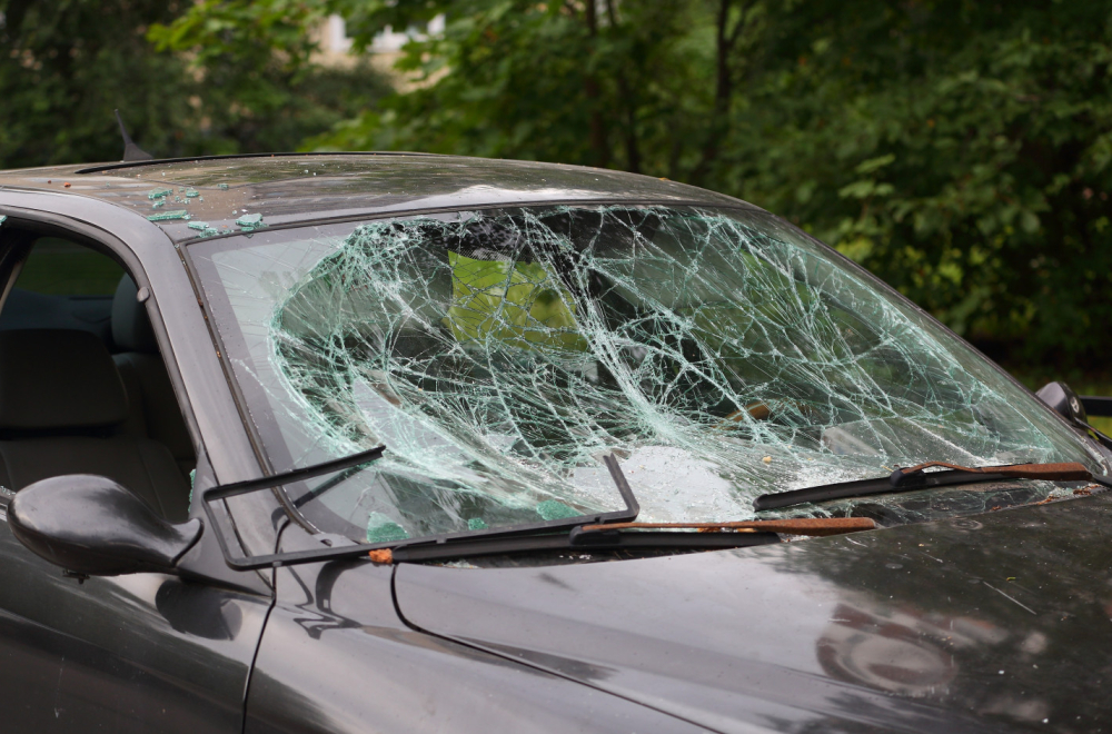 Palo drvo, taksista umalo nastradao u Leskovcu