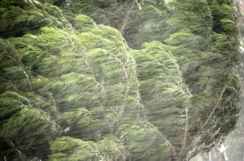 Ka Srbiji hrli nešto što vam se neće dopasti...