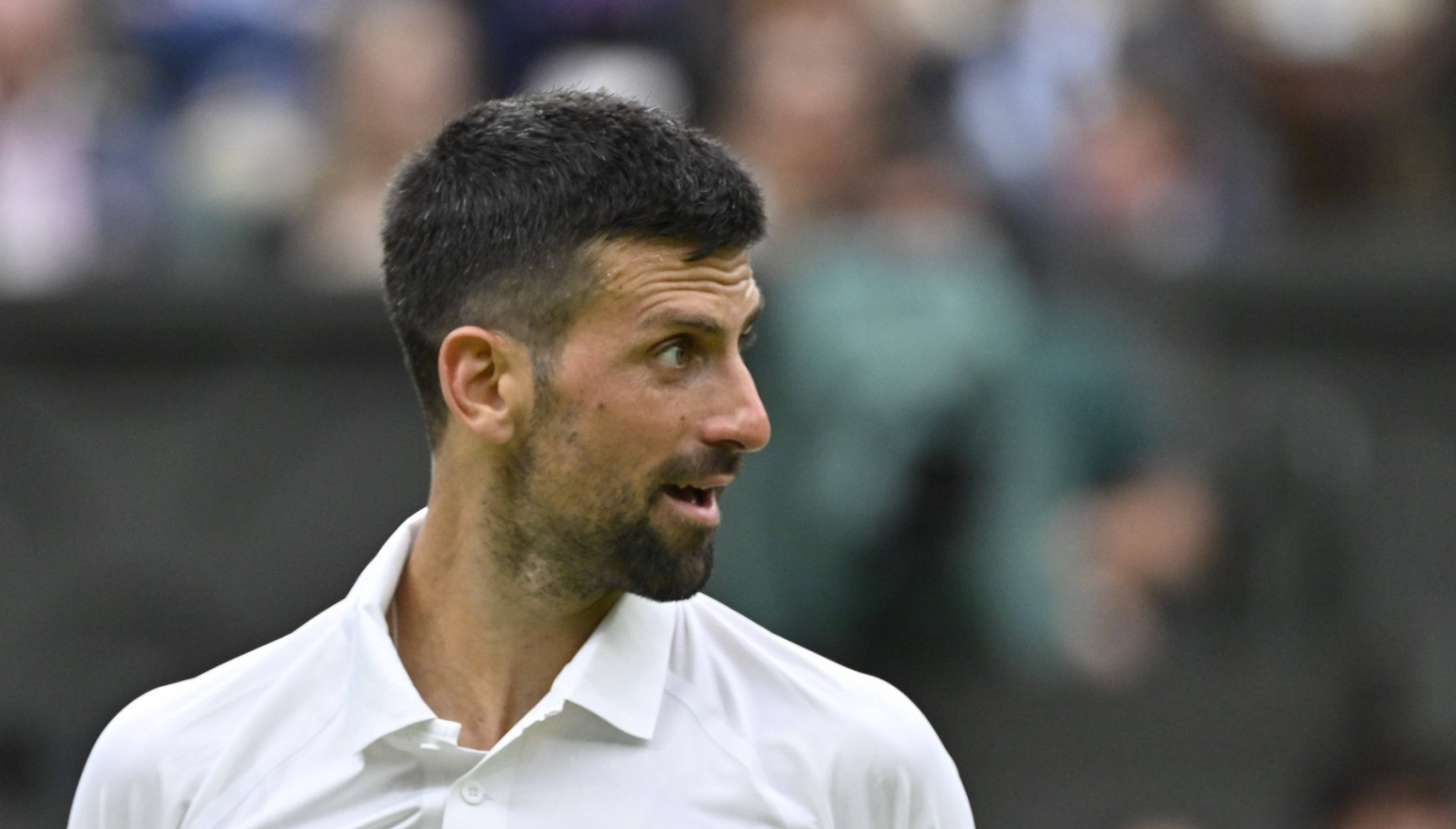 Djokovic: "I want to learn Russian"