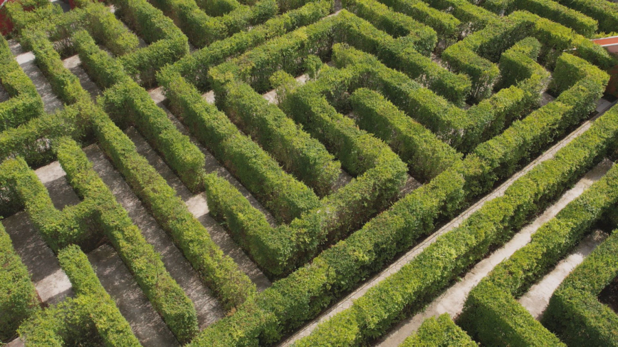 Lavirint sa najdužom stazom u Evropi se nalazi u Srbiji: Obilazak jednom trajao čak četiri sata FOTO