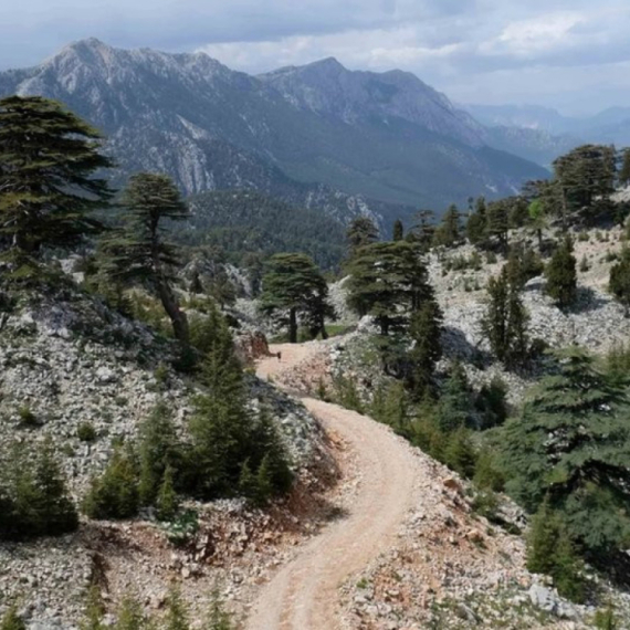 Istorija i politika: Drevna civilizacija koja je inspirisala američku demokratiju