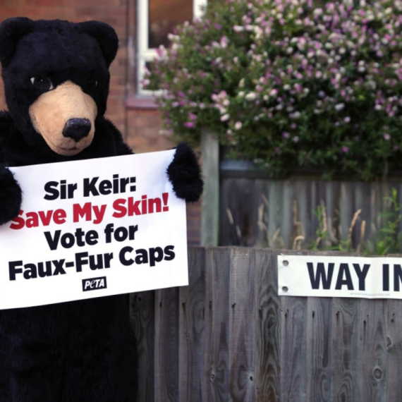 Izbori u Ujedinjenom Kraljevstvu: Milioni glasaju, pa i zmija