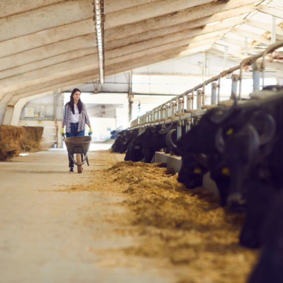 Anđelija iz Srbije oduševila Balkan svojom transformacijom VIDEO