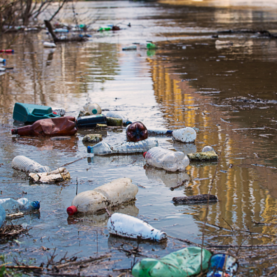 Snimljeno u Novom Pazaru i zaista je strašno VIDEO