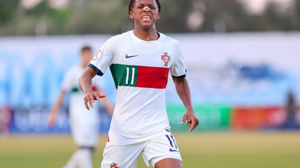 Novi detalji nestanka portugalskog vunderkida (15)