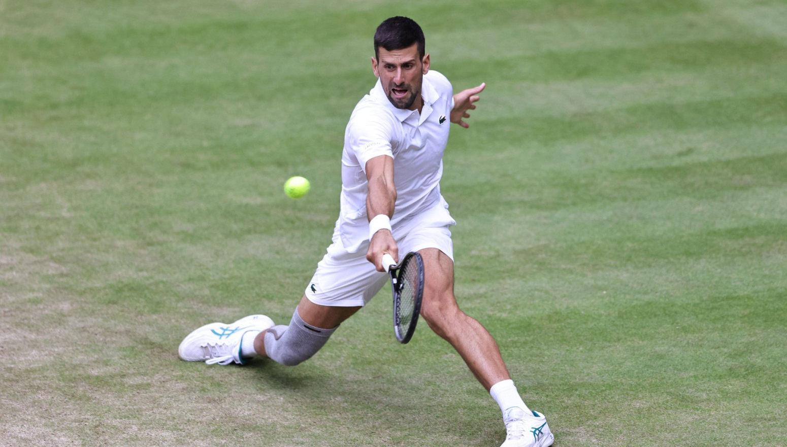 "Novak je GOAT, sviđalo se ljudima to ili ne"