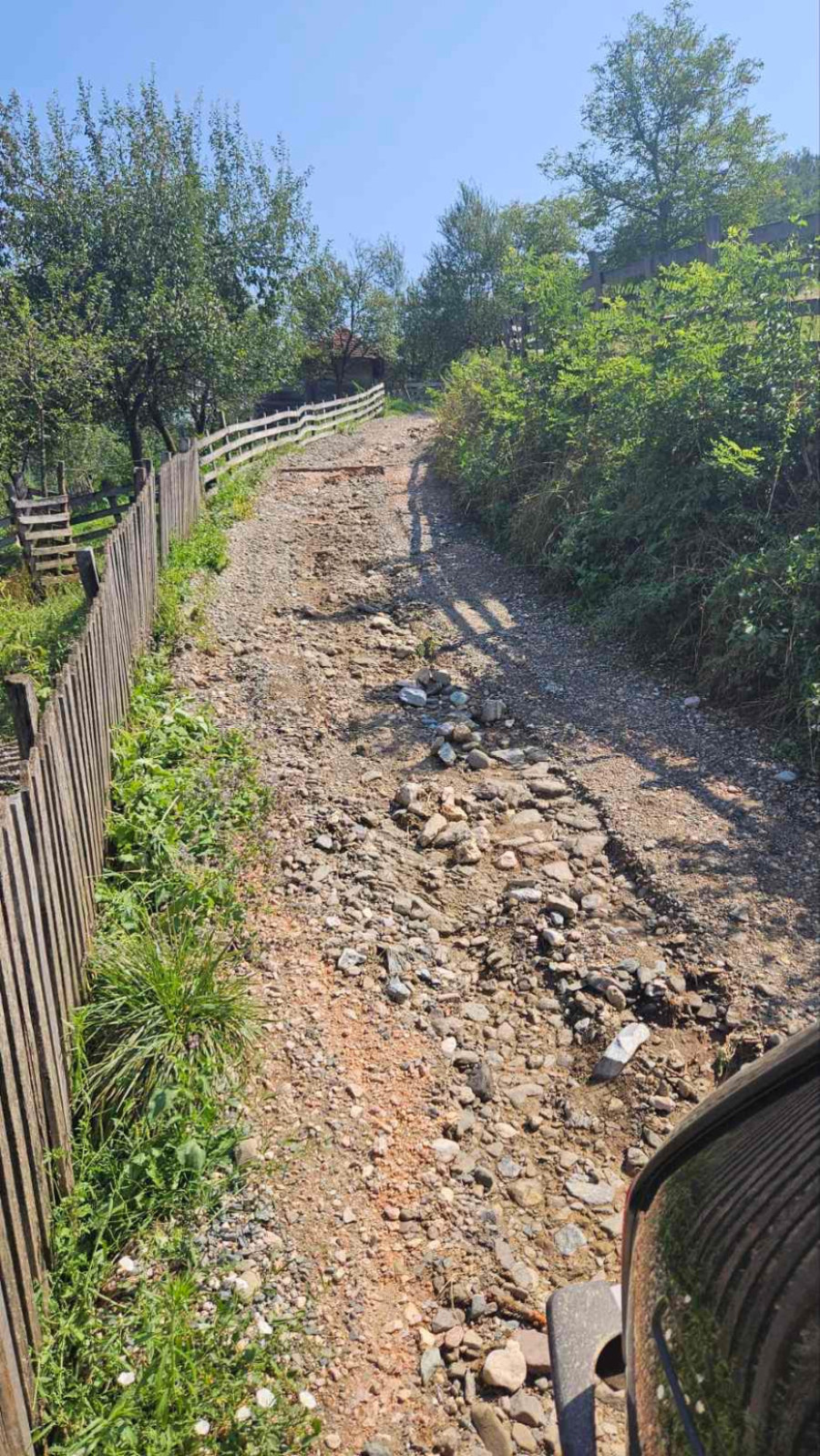 Srbiju pogodilo razorno nevreme: Drveće čupalo iz korena, hiljade ljudi ostali bez struje FOTO