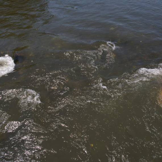 Kraljevčani imaju svoje "more" koje ne bi dali ni za kakvo grčko ostrvo: Obale vrve od naroda FOTO