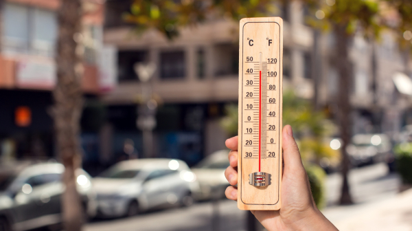 Total disaster; More than 5,000 people have died from the heat