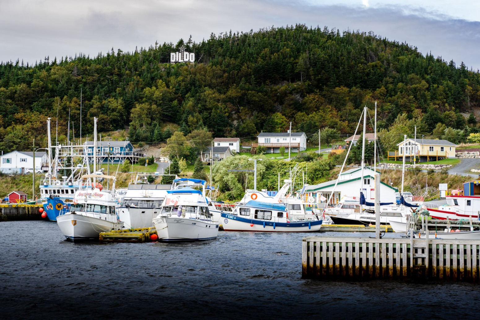 Grad sa manje od 1.000 stanovnika u koji turisti dolaze samo zbog imena: Da li ste čuli za Dildo? FOTO