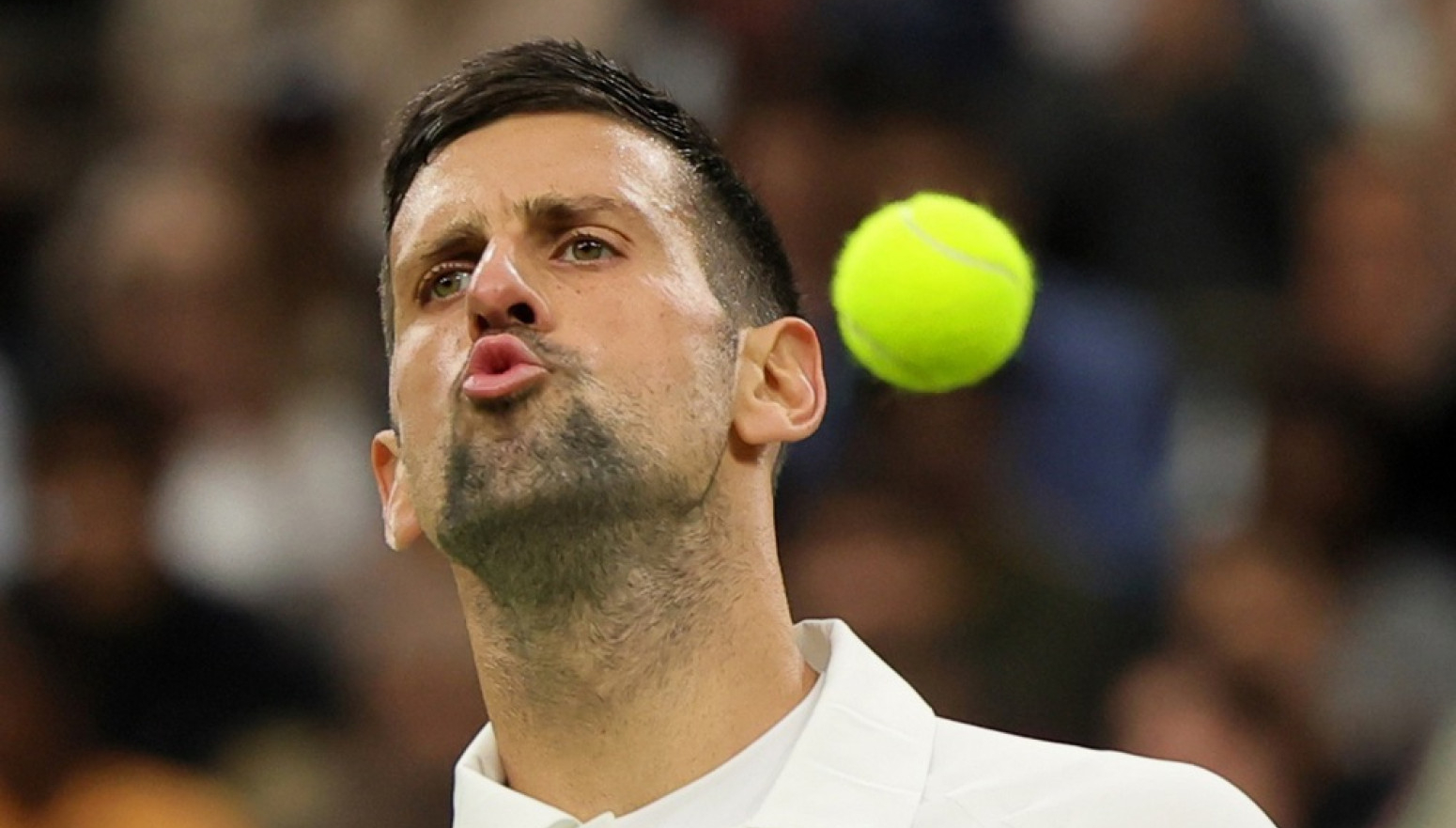 "Nije tačno da je Đoković nepopularan – to pričaju navijači Federera i Nadala"