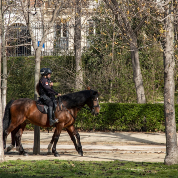Četa konjanika Policijske brigade dobila novog neodoljivog člana FOTO